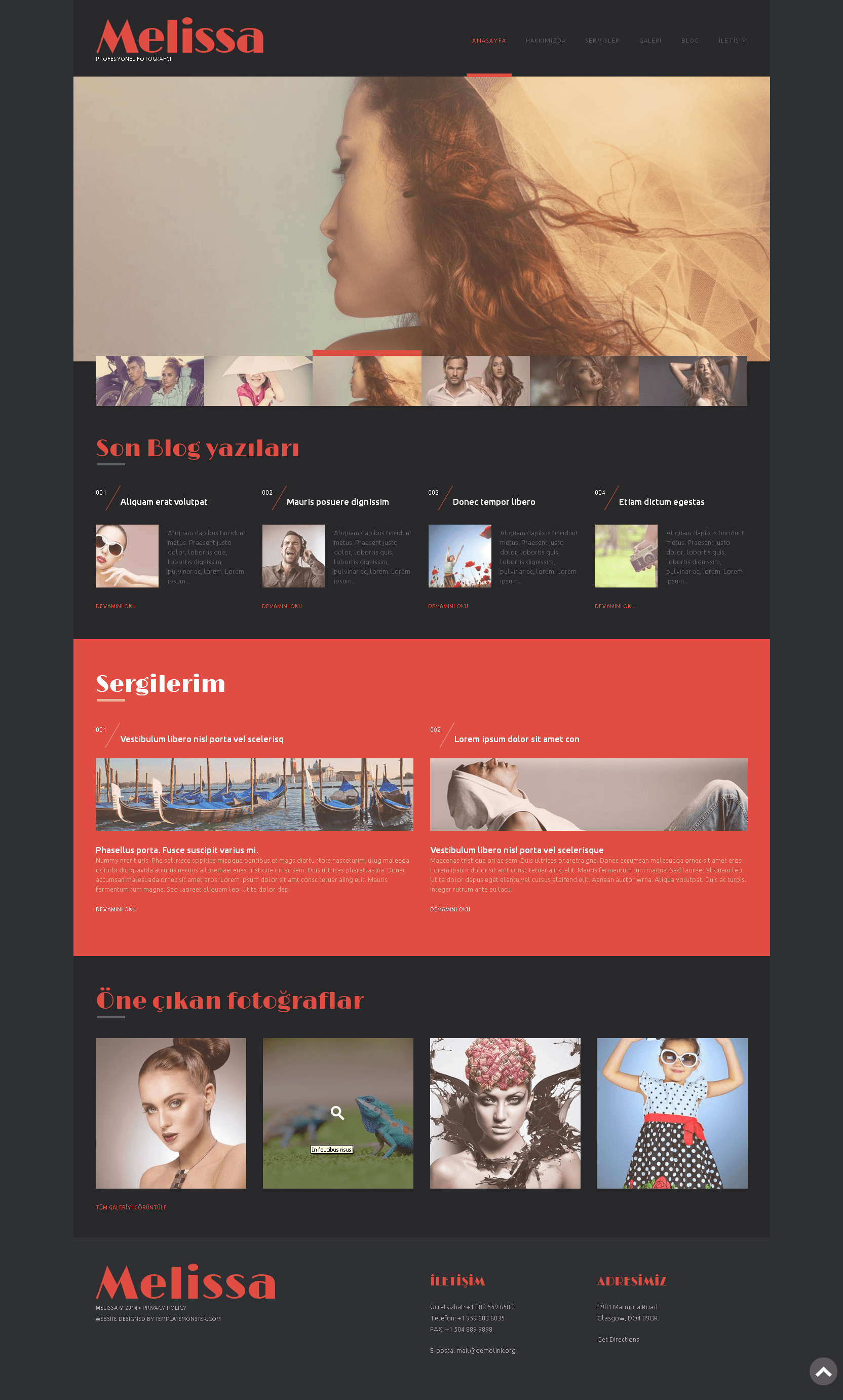 Görsel Açıdan Çekici Ücretsiz WordPress Fotoğrafçılık Teması Ücretsiz WordPress Fotoğrafçılık Teması
