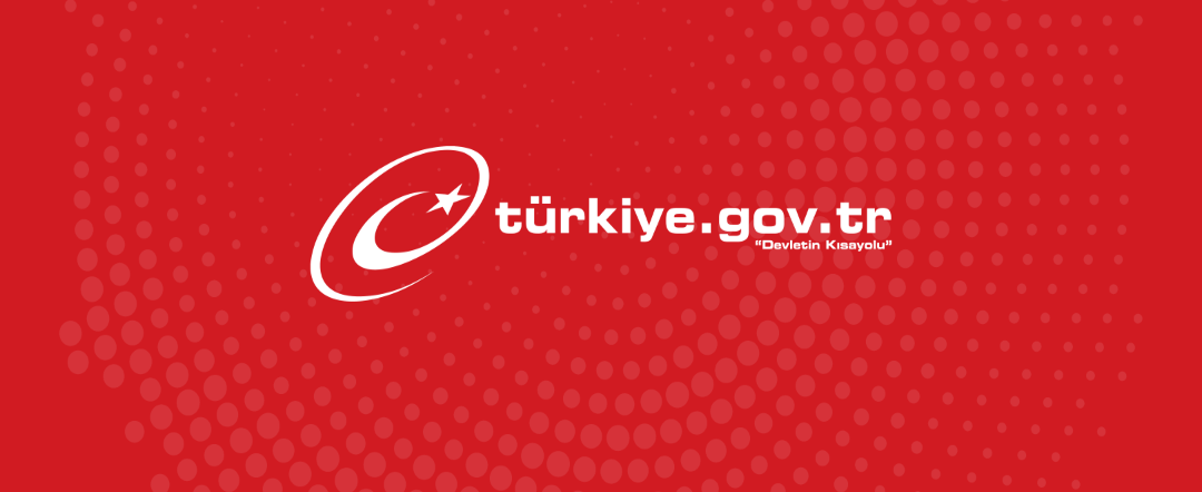 2019'da e-devlet Üzerinden Erişebileceğimiz Yeni Hizmetler