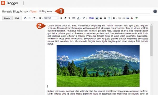 ücretsiz blog nasıl açılır