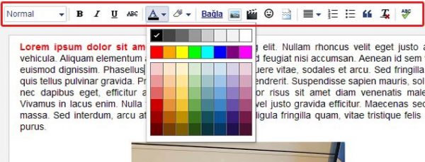 ücretsiz blog nasıl açılır